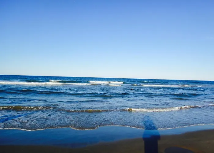 Patacona Power!! 아파트